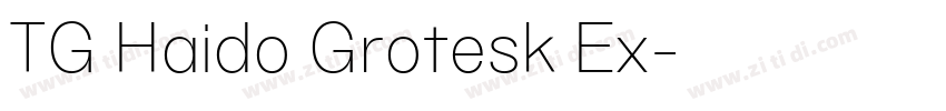 TG Haido Grotesk Ex字体转换